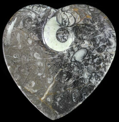 Heart Shaped Fossil Goniatite Dish #61266